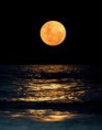 /album/fotogalerie-fotogalerie/facebook-1799634526-jpg/