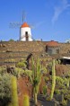 /album/fotogalerie-fotogalerie/a2008-12-22-lanzarote-jardindecactus-jpg/